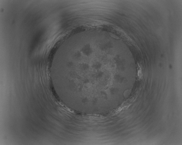 X0000051890819200506241347