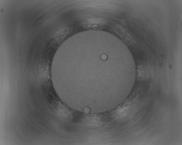 X0000051890820200506241347