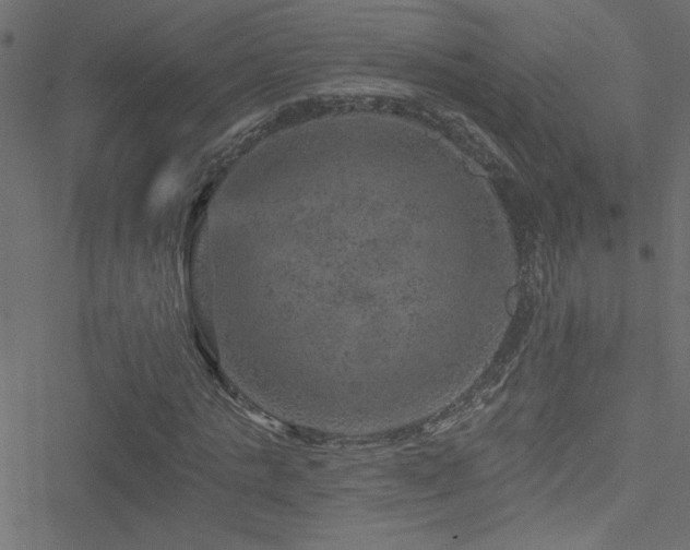 X0000051890821200506241347