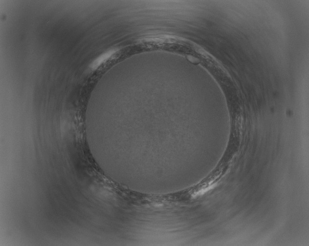 X0000051890822200506241347