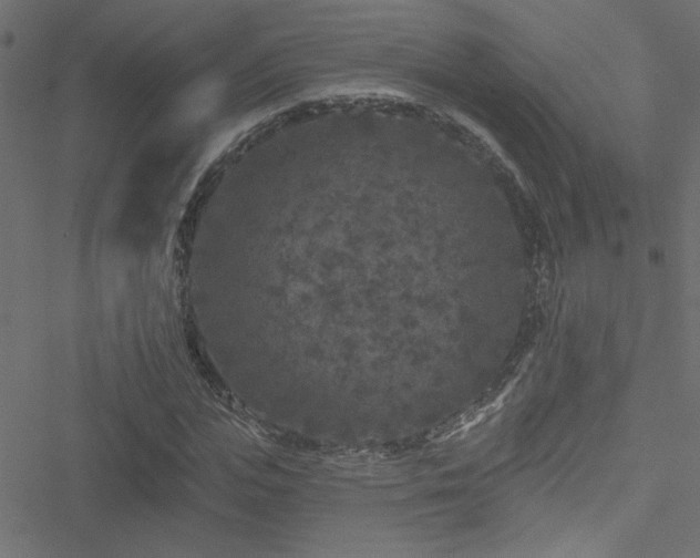 X0000051890823200506241347