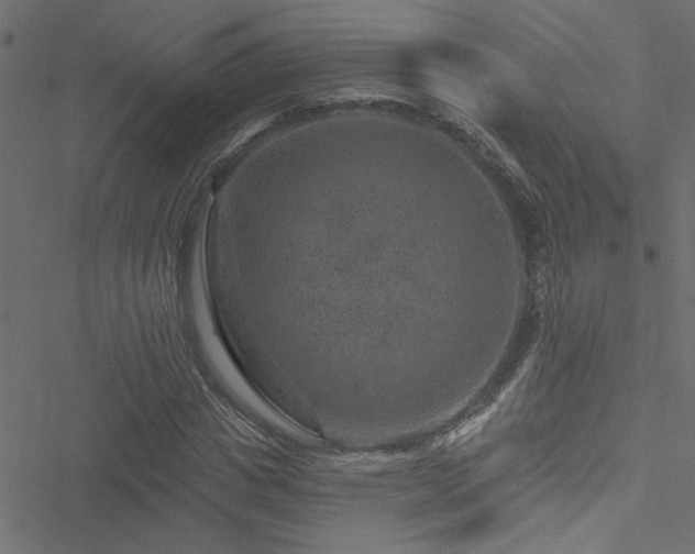 X0000051890825200506241347