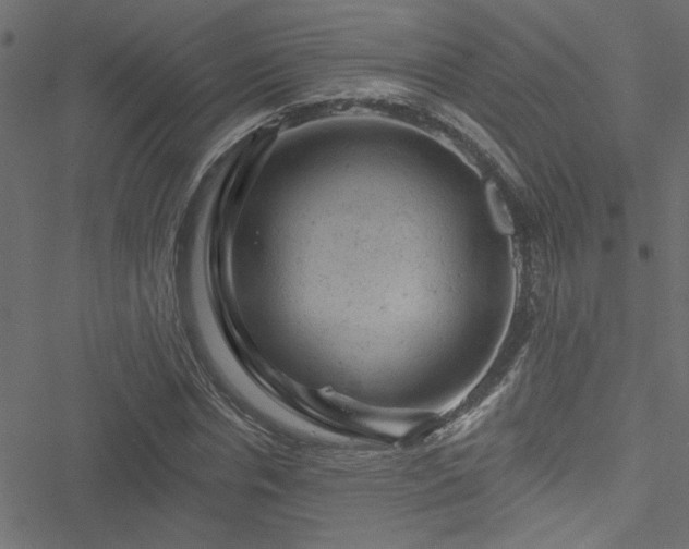 X0000051890826200506241347