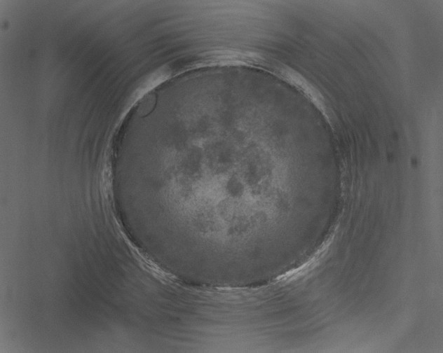 X0000051890827200506241347