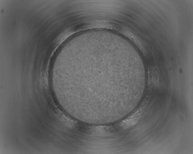 X0000051890828200506241347