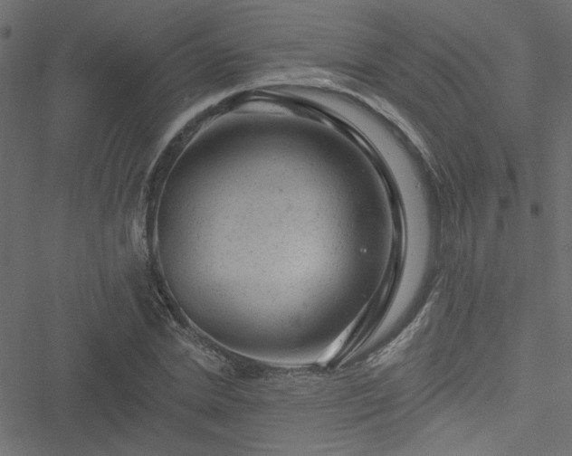 X0000051890830200506241347