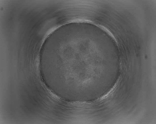 X0000051890831200506241347