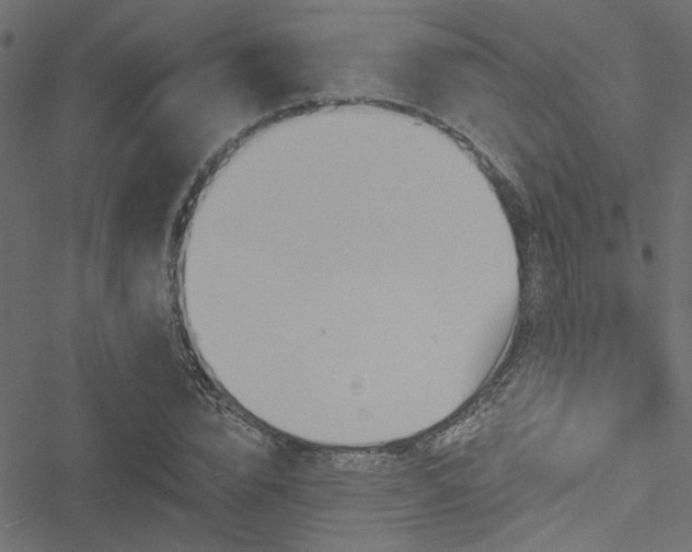 X0000051890832200506241347