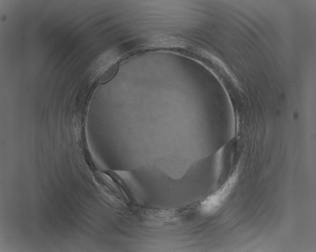 X0000051890833200506241347