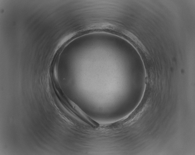 X0000051890834200506241347