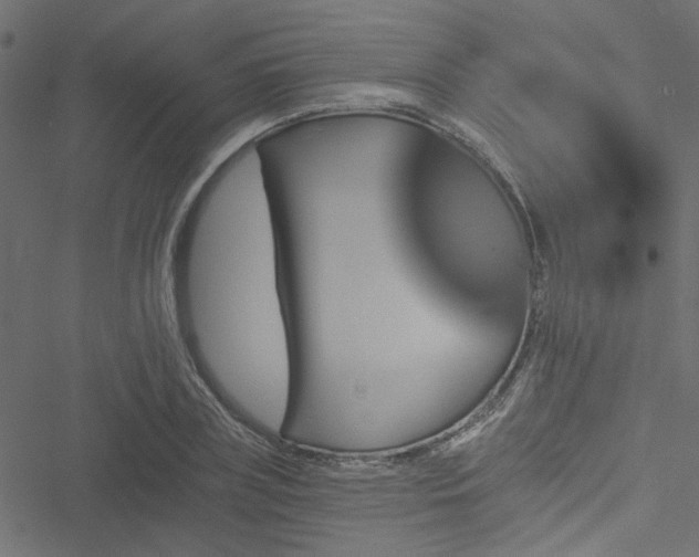 X0000051890835200506241347