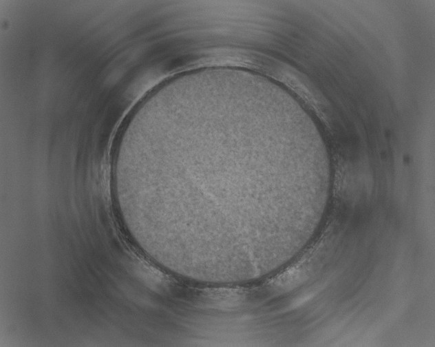 X0000051890836200506241347