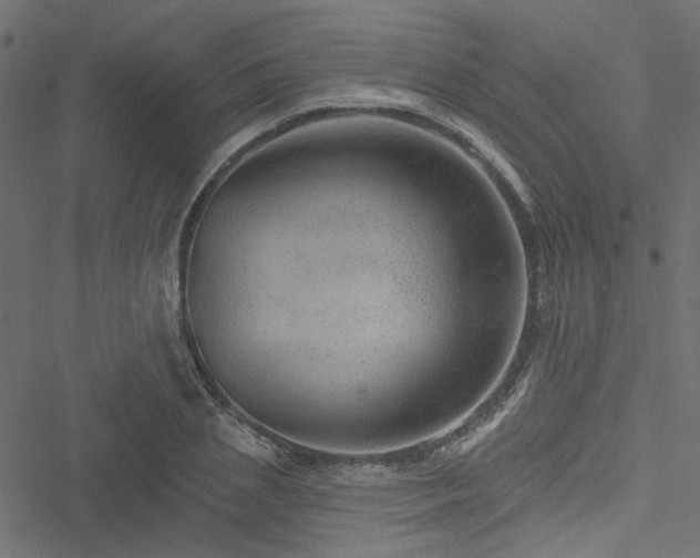 X0000051890837200506241347