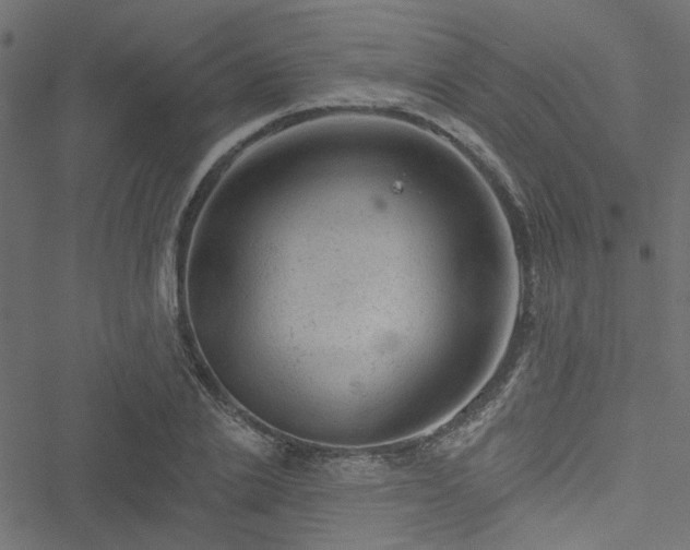 X0000051890838200506241347