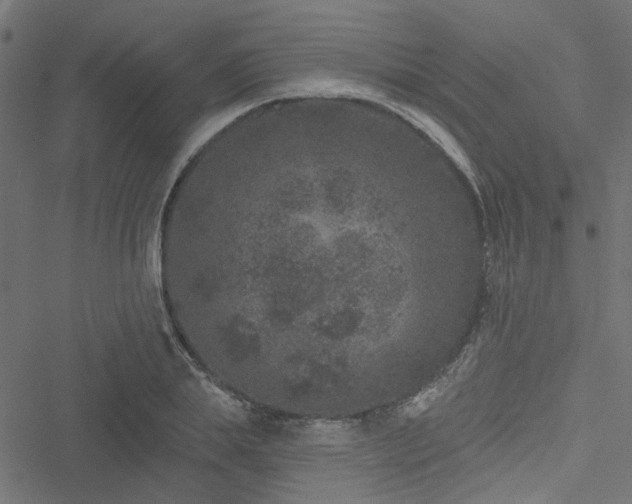 X0000051890839200506241347