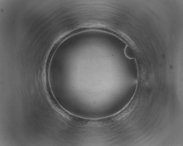 X0000051890840200506241347