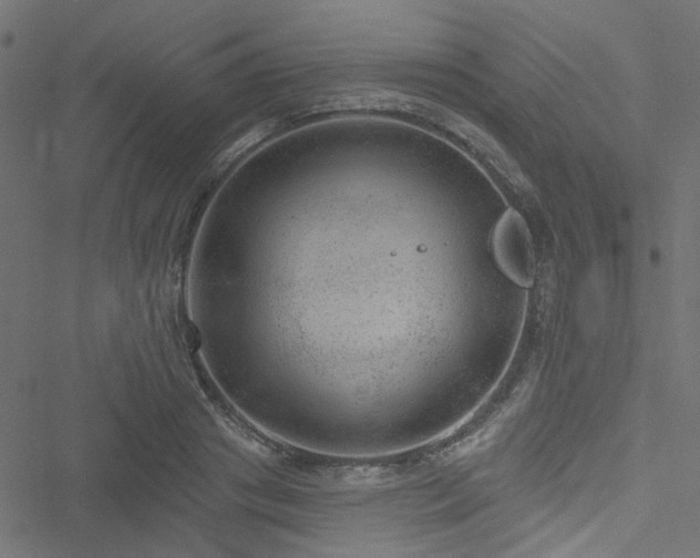 X0000051890841200506241347