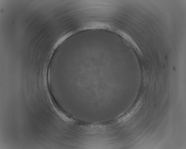 X0000051890842200506241347