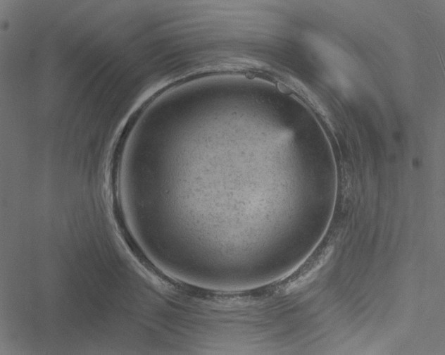 X0000051890843200506241347