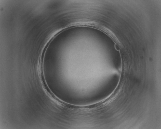 X0000051890844200506241347