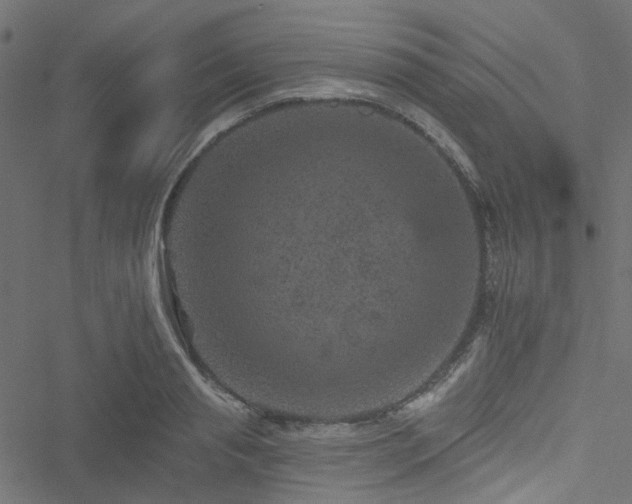 X0000051890845200506241347