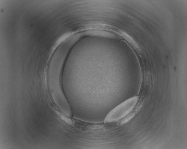 X0000051890846200506241347