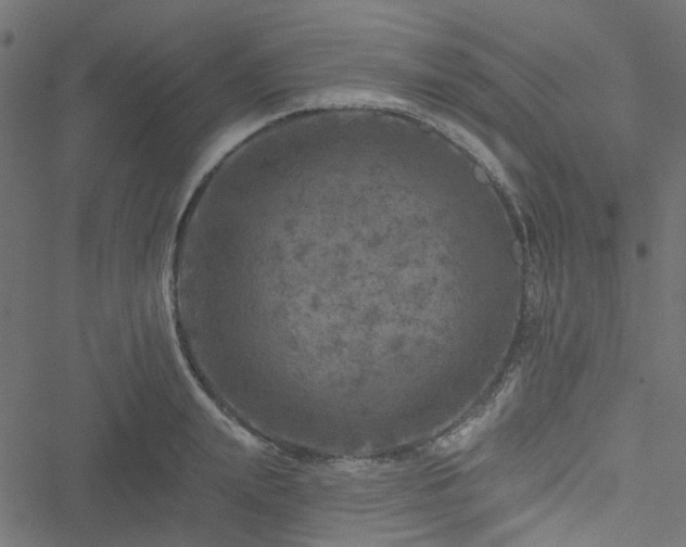 X0000051890847200506241347