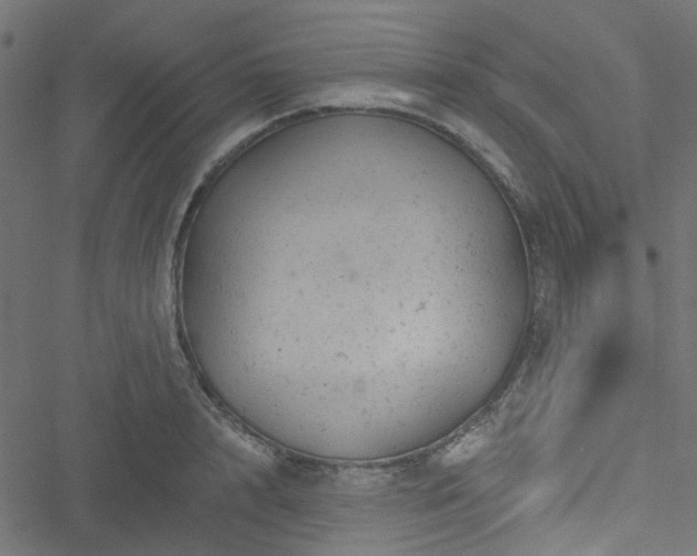 X0000051890848200506241347