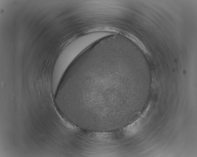 X0000051890849200506241347