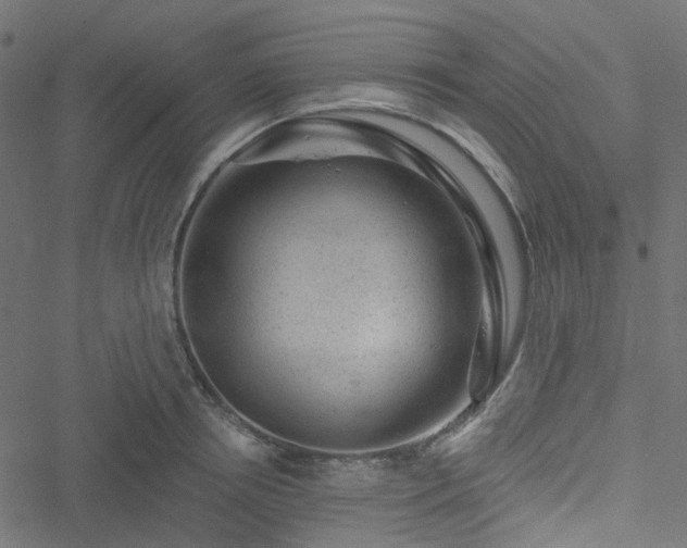 X0000051890850200506241347