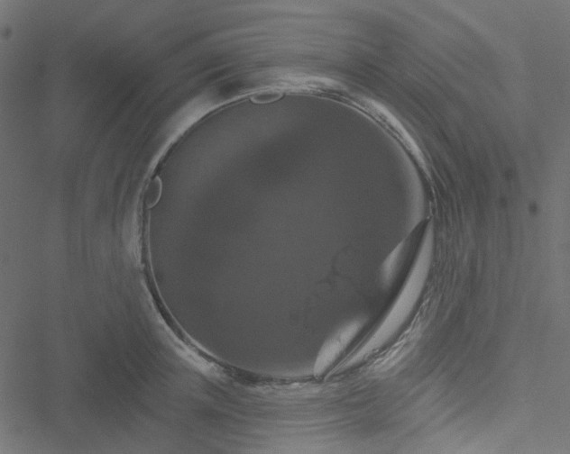 X0000051890851200506241347