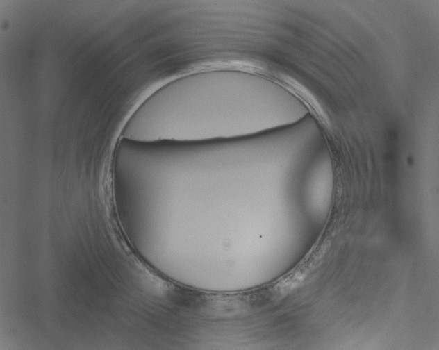 X0000051890852200506241347