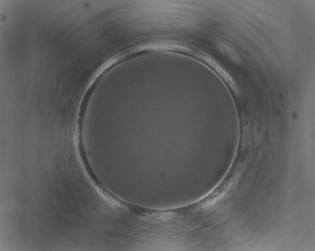 X0000051890853200506241347