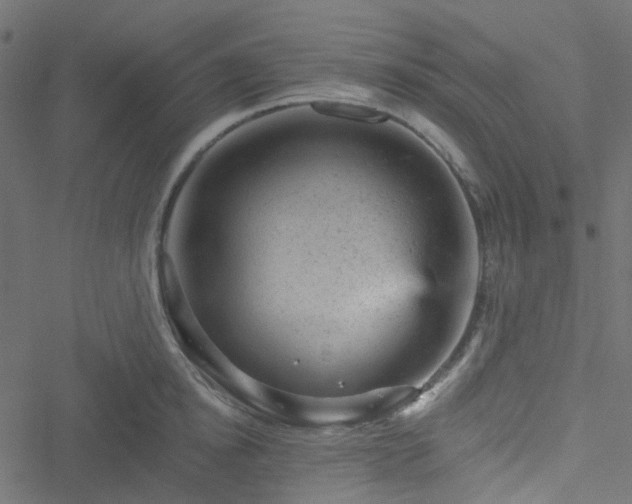 X0000051890854200506241347