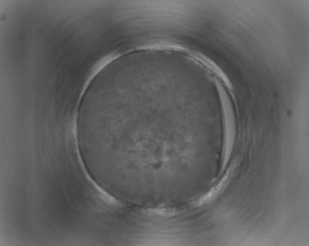 X0000051890855200506241347