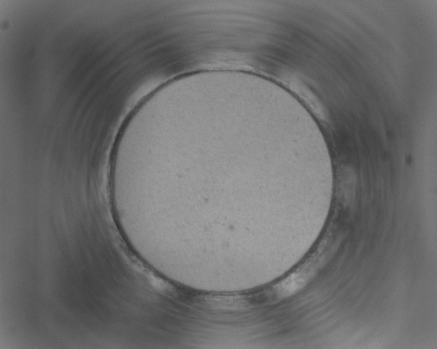 X0000051890856200506241347