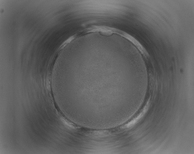 X0000051890857200506241347