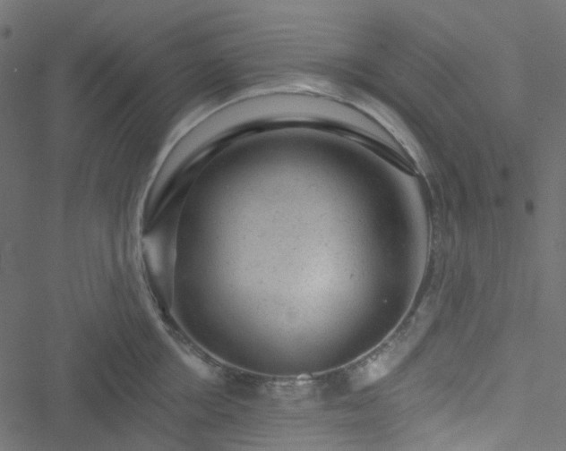 X0000051890858200506241347