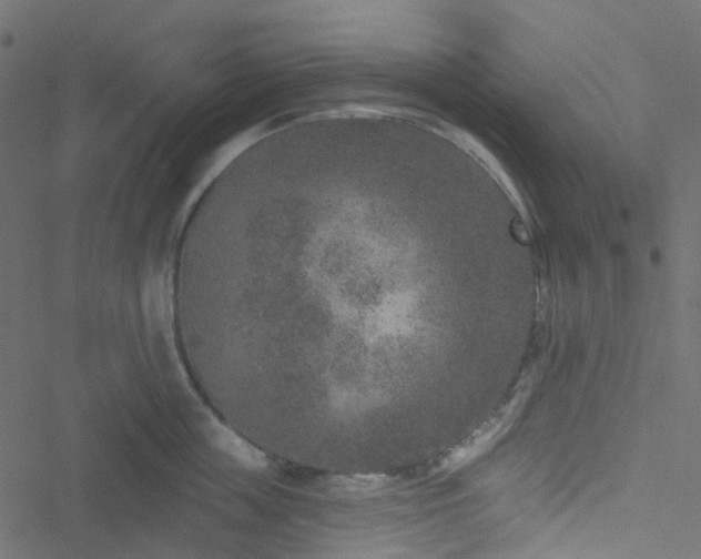 X0000051890859200506241347