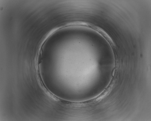 X0000051890860200506241347