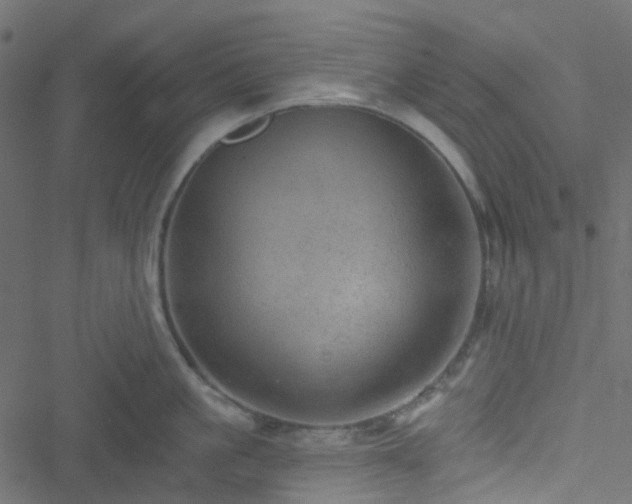 X0000051890861200506241347