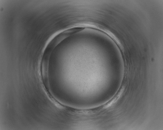 X0000051890862200506241347