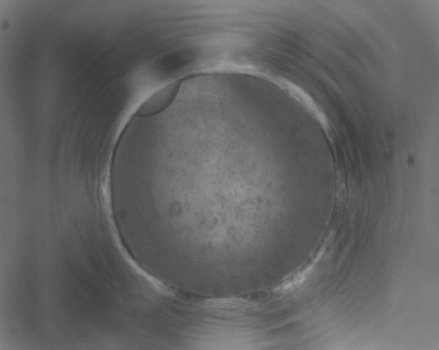 X0000051890863200506241347