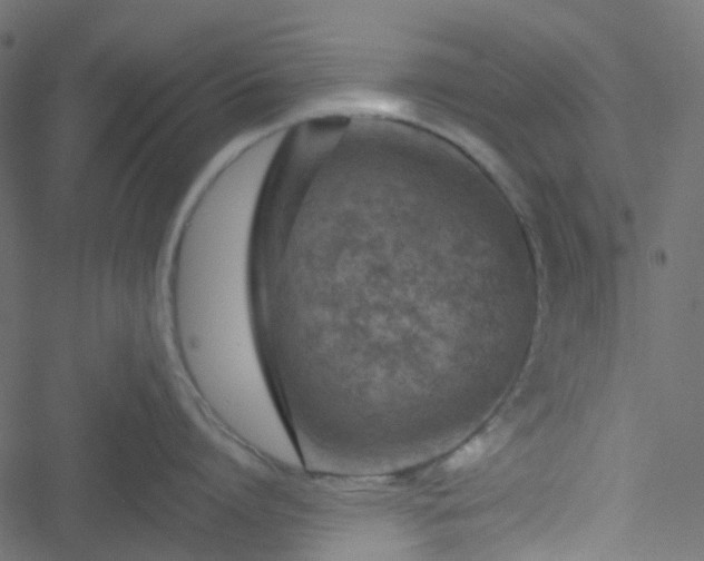 X0000051890864200506241347