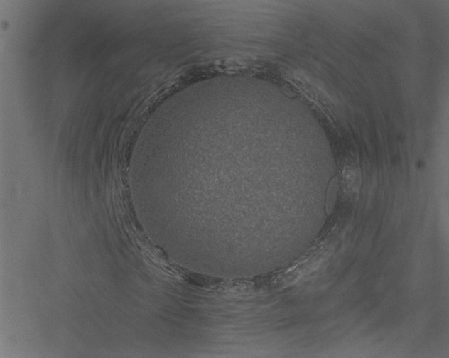 X0000051890865200506241346