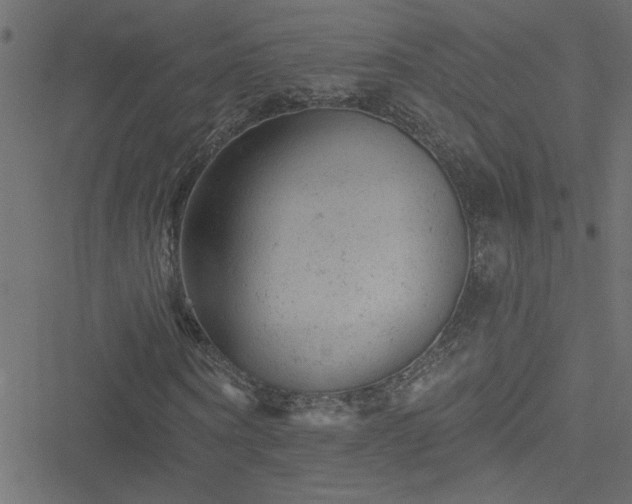 X0000051890866200506241346