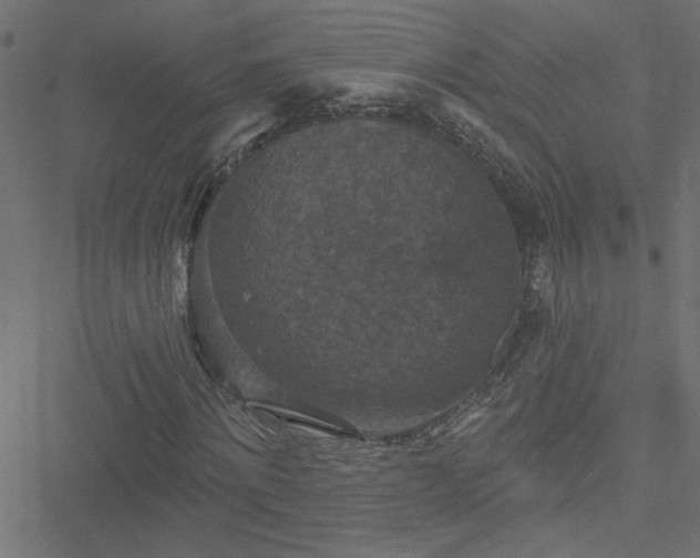 X0000051890868200506241346