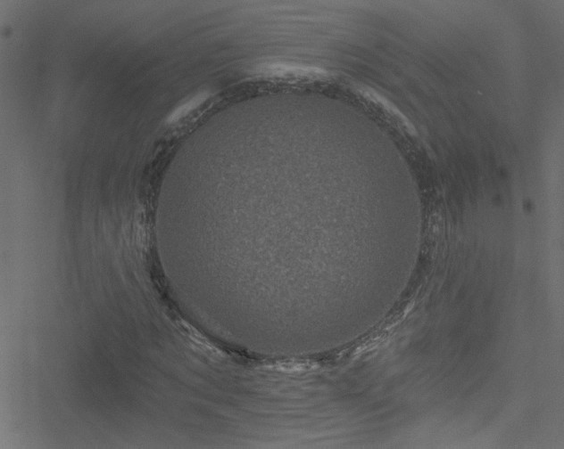 X0000051890869200506241346