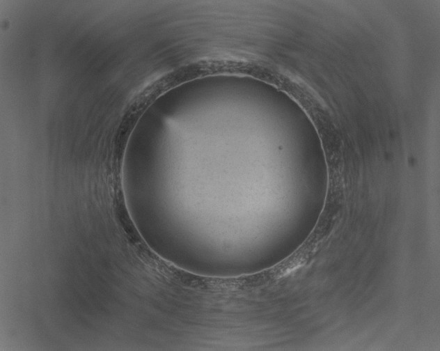 X0000051890870200506241346