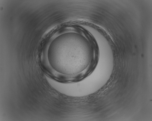 X0000051890871200506241346